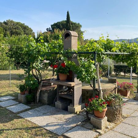 Villetta Di Rosa Procchio (Isola d'Elba) Exterior foto